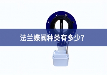 法蘭蝶閥種類有多少？