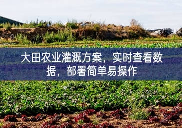 「智慧農(nóng)業(yè)」大田農(nóng)業(yè)灌溉方案，實時查看數(shù)據(jù)，部署簡單易操作